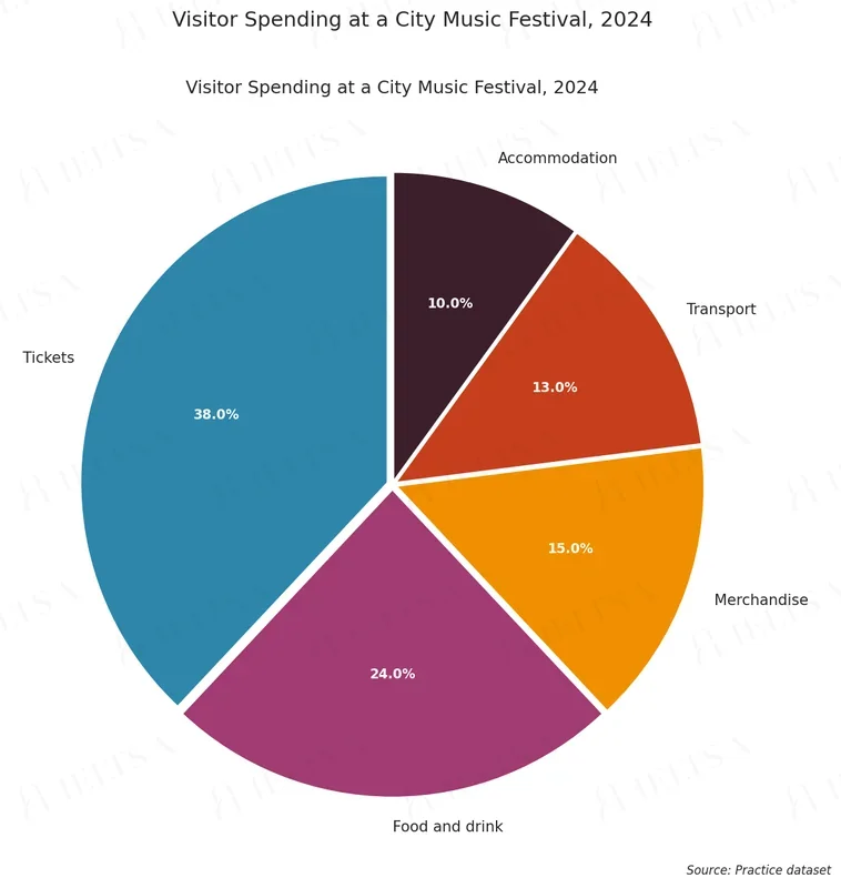 Visitor Spending at a City Music Festival, 2024